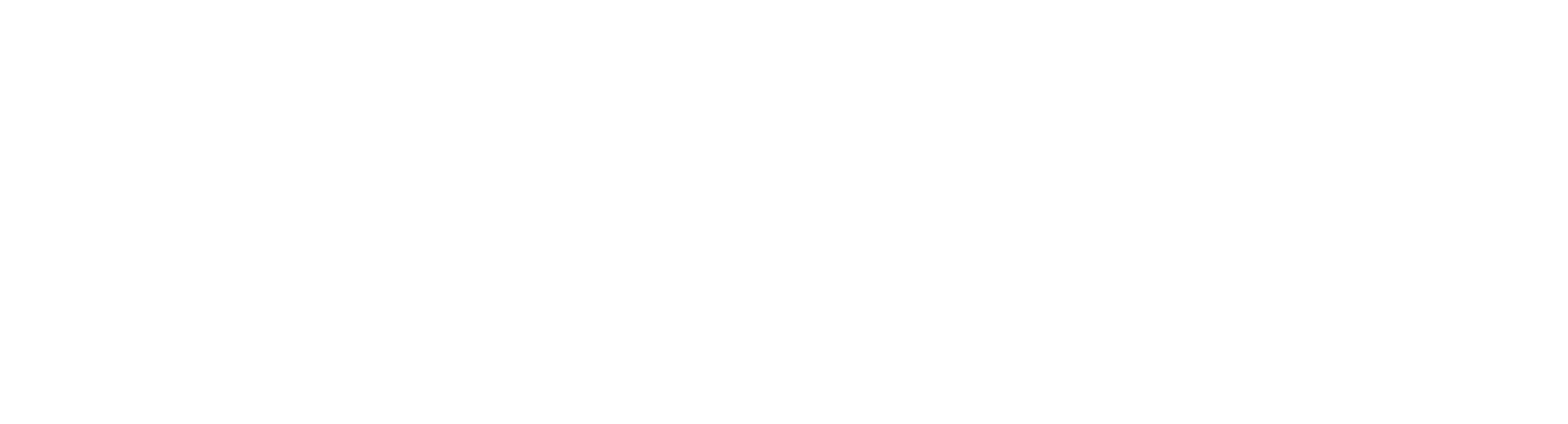 Prime Hospital