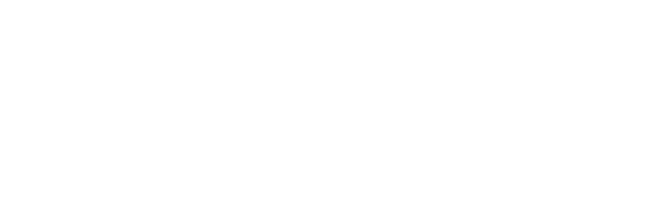 Prime Hospital